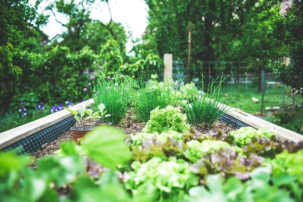 Comment intégrer un composteur esthétique dans un petit jardin urbain?